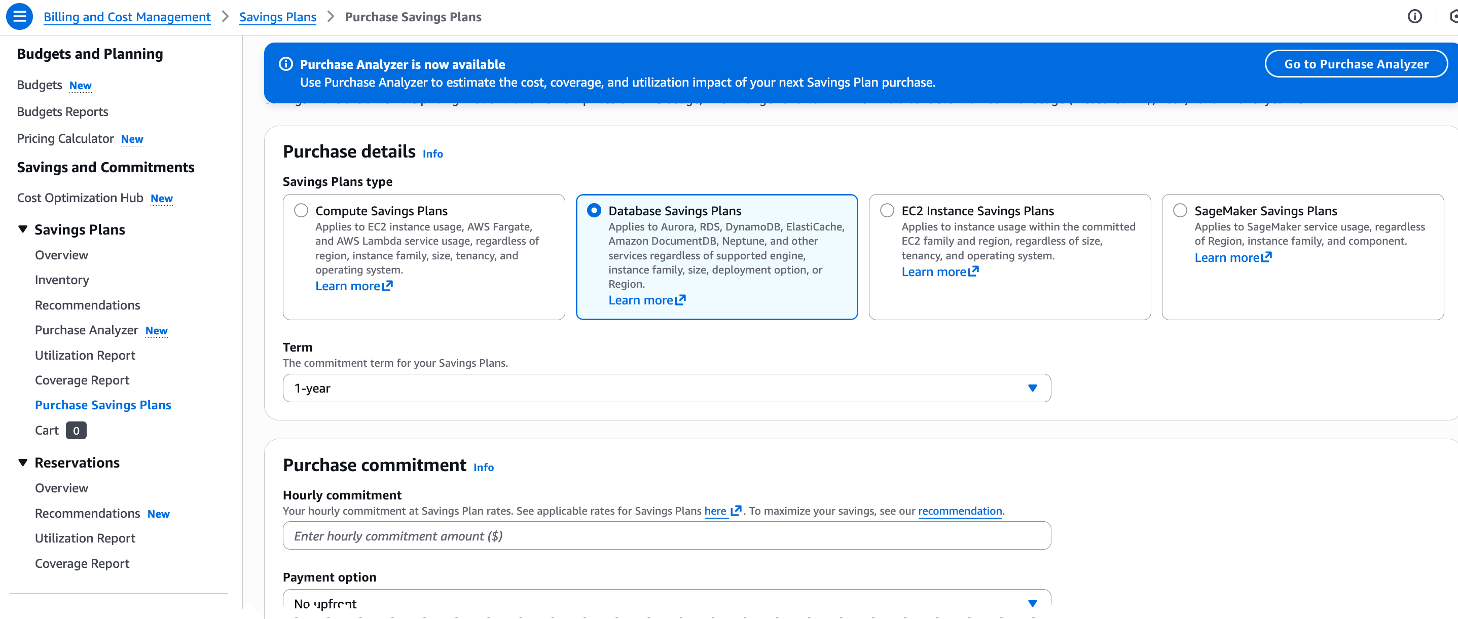 Purchasing Savings Plans